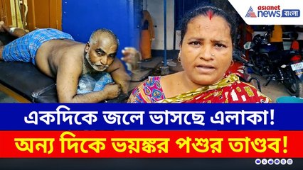 মালদায় হিংস্র পশুর তাণ্ডব! এলাকায় ব্যাপক আতঙ্ক | Malda Latest News