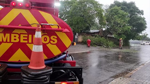 Árvore cai e interdita via no bairro Brasília após fortes ventos