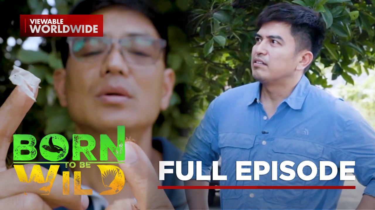 Ear-Crawling Centipede and Termites Egg-Laying Frenzy | Born to Be Wild (Full Episode)