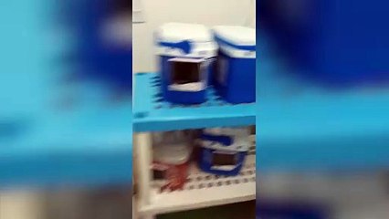 40 mm de chuva em 1 hora: Transtornos do tempo geram alagamentos até em hospital