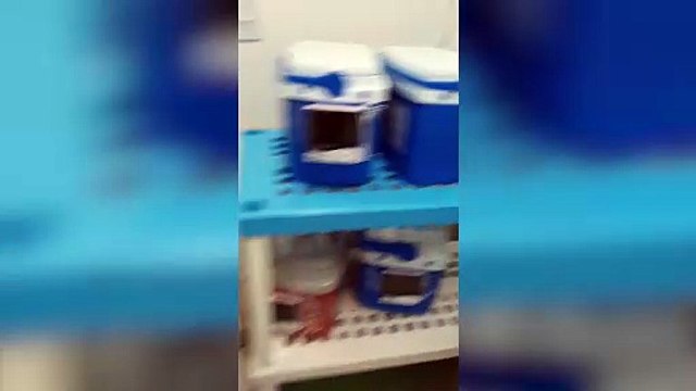 40 mm de chuva em 1 hora: Transtornos do tempo geram alagamentos até em hospital