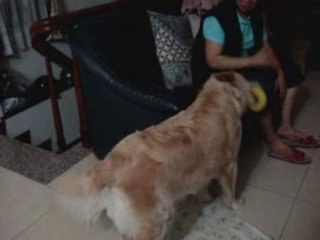 糖糖紀錄片_2008-04-27_06