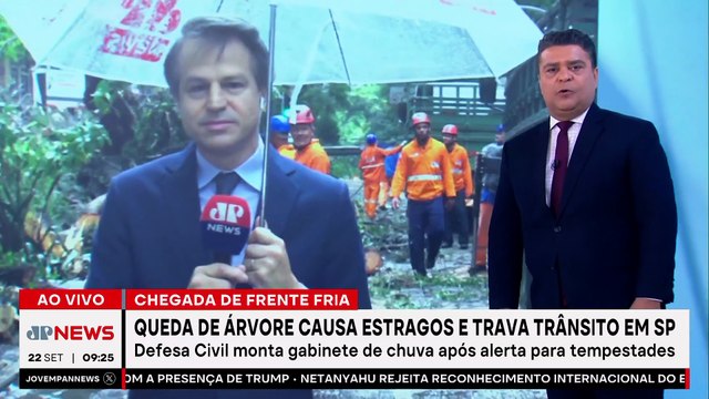 Queda de árvores na Alameda Santos, em São Paulo, deixa via interditada