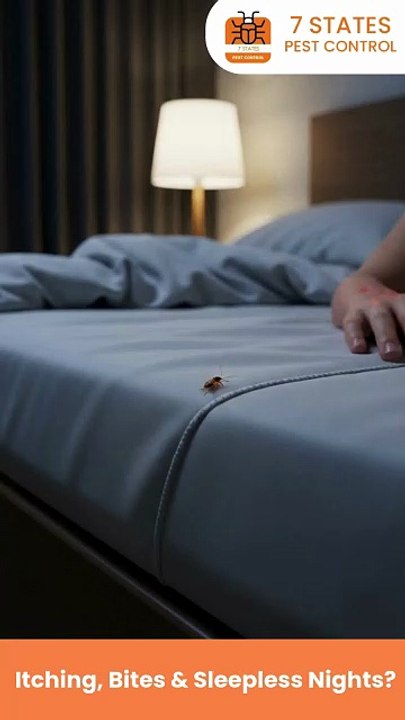 Professional Bed Bug Treatment Melbourne | 7 States Pest Control
