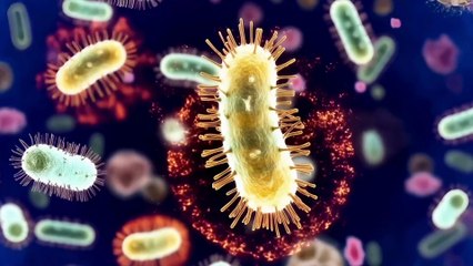 マイクロバイオーム ～内なる宇宙の退廃と再生～