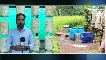 मशरूम शेतीने नववी शिकलेल्या वैशाली ताईंचे आयुष्य कसं बदललं?