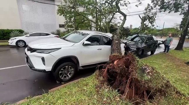 Temporal derruba árvores, deixa milhares sem energia e danifica carros em Umuarama