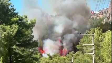 Serik’te ormanlık alanda çıkan yangında 1 gözaltı