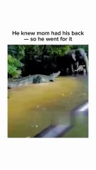 💖 حب الأم ومواقف الحيوانات الصغيرة المضحكة 🐾 💖 Motherly Love & Funny Baby Animals Moments 🐾