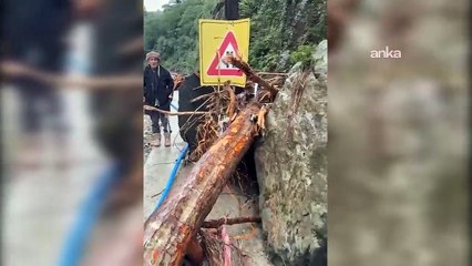 Rize’de sel ve heyelandan kaçan yavru ayılar tünele sığındı