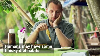 Strangest Eating Habits in the Wild! You Have to Check This Out