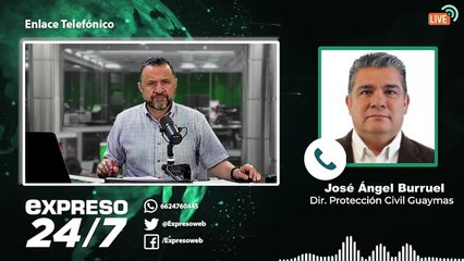 Ataque de abejas en San Carlos deja 19 lesionados | Expreso 24/7