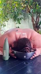 Incredible 200kg Weight Loss Journey 🚀 – Get Inspired Today!