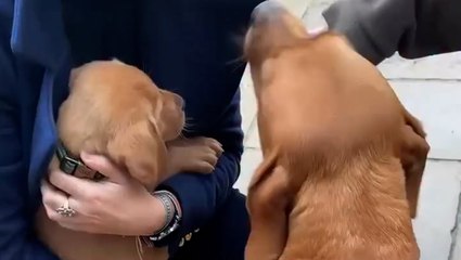 Jeremy Clarkson announces ‘sad’ departure from Diddly Squat farm