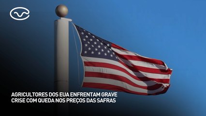 Tarifaço: agricultores dos EUA enfrentam grave crise com queda nos preços das safras