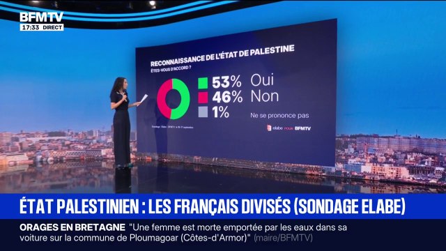 LES ÉCLAIREURS - État palestinien: les Français sont divisés