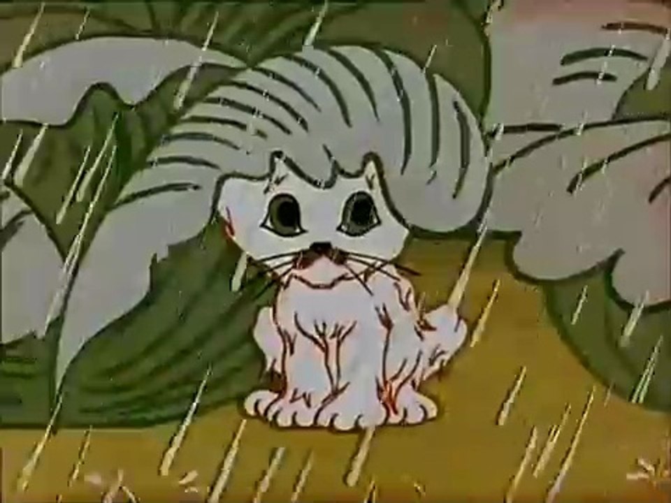 Kota filemona 8