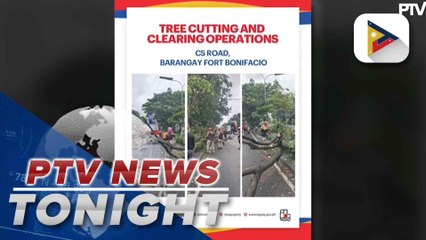Taguig LGU conducts tree cutting, clearing ops