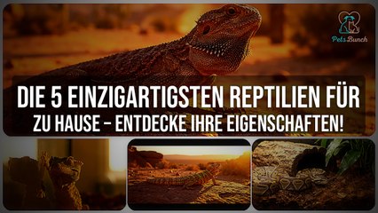Die 5 einzigartigsten Reptilien für zu Hause | Exotische Haustiere im Terrarium