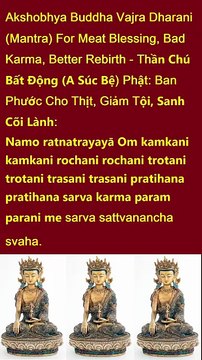 Sanskrit Akshobhya Buddha Dharani Mantra For Meat Blessing Bad Karma Better Rebirth