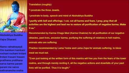 Sanskrit Akshobhya Buddha Vajra Dharani  Purifies All Negative Karma, Delivers from Lower Realms