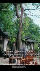 Zelda's Mystical Journey