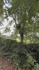 Come with me on my first Peak District trail run - accessible by bus from Sheffield