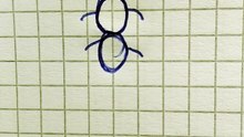 Disegno  24