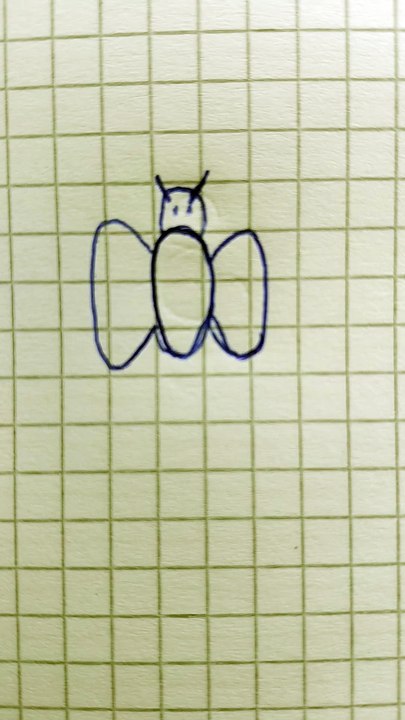 Disegno 23