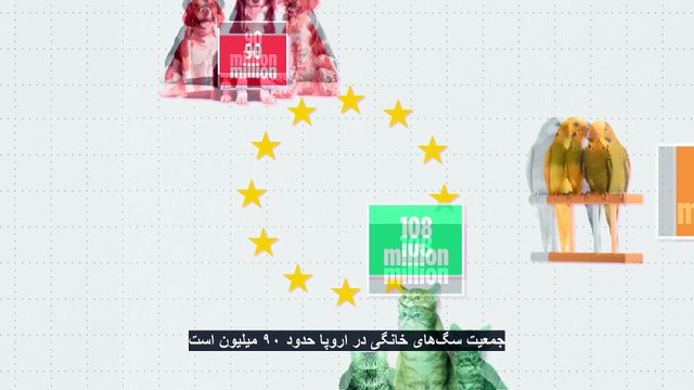 سگ‌های خانگی؛ در کدام کشورهای اتحادیه اروپا «بهترین دوست انسان» محبوب‌تر است؟