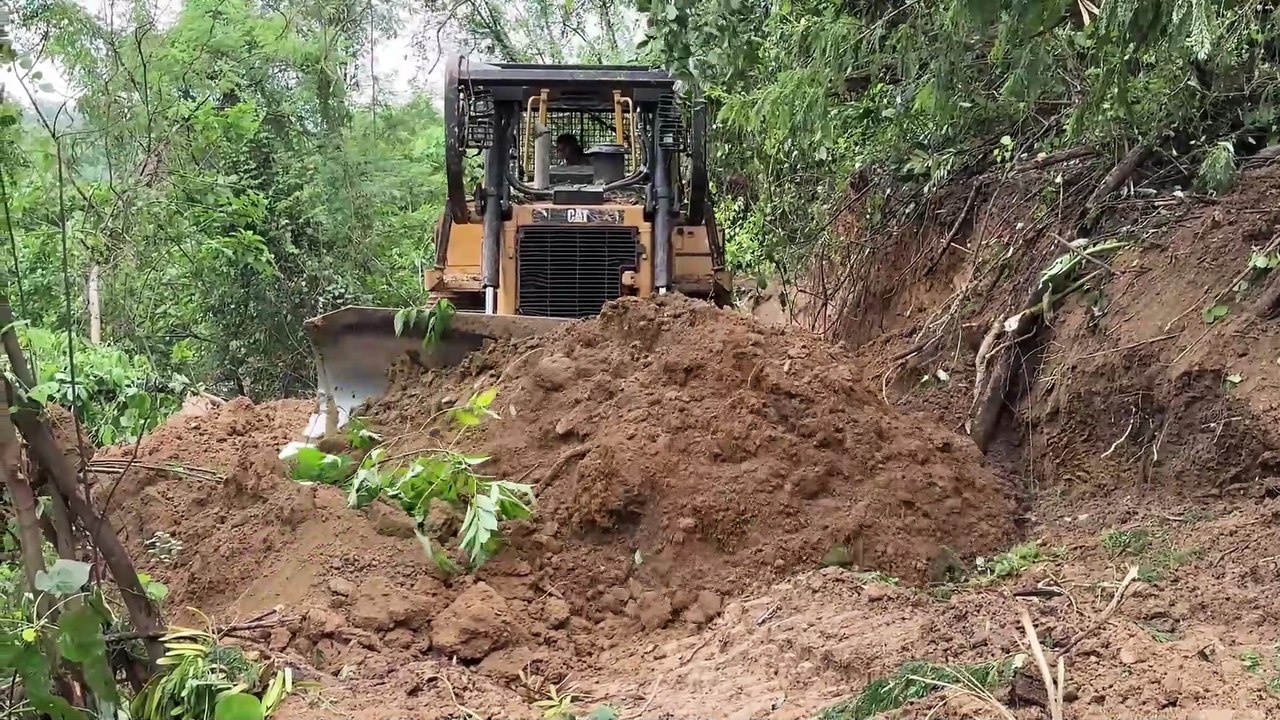 Bulldozer D6R XL Reliable Solution for Road Expansion in Plantations