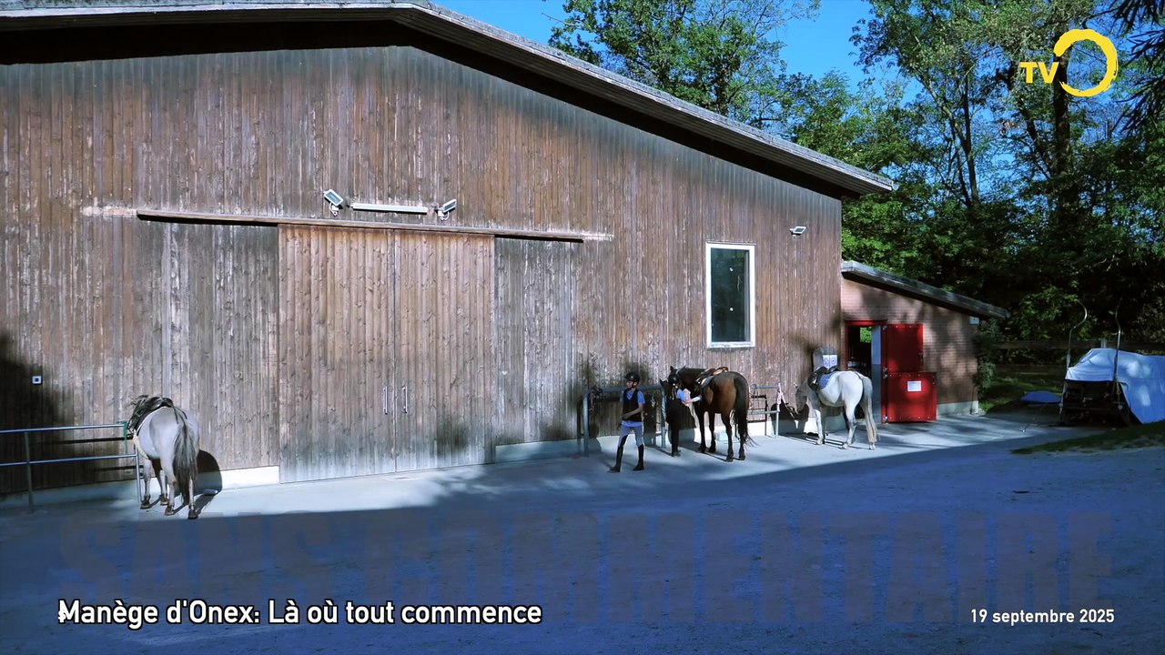 Sans commentaire: le manège d'Onex