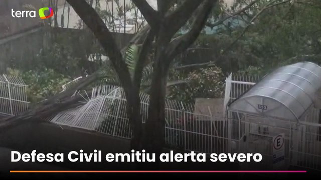 Temporal derruba árvores e provoca enchentes em São Paulo