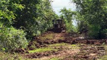 Bulldozer D6R XL The Forgotten Solution for Old Plantation Roads