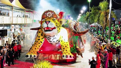 Afinal por quem cantam os Cardeais?