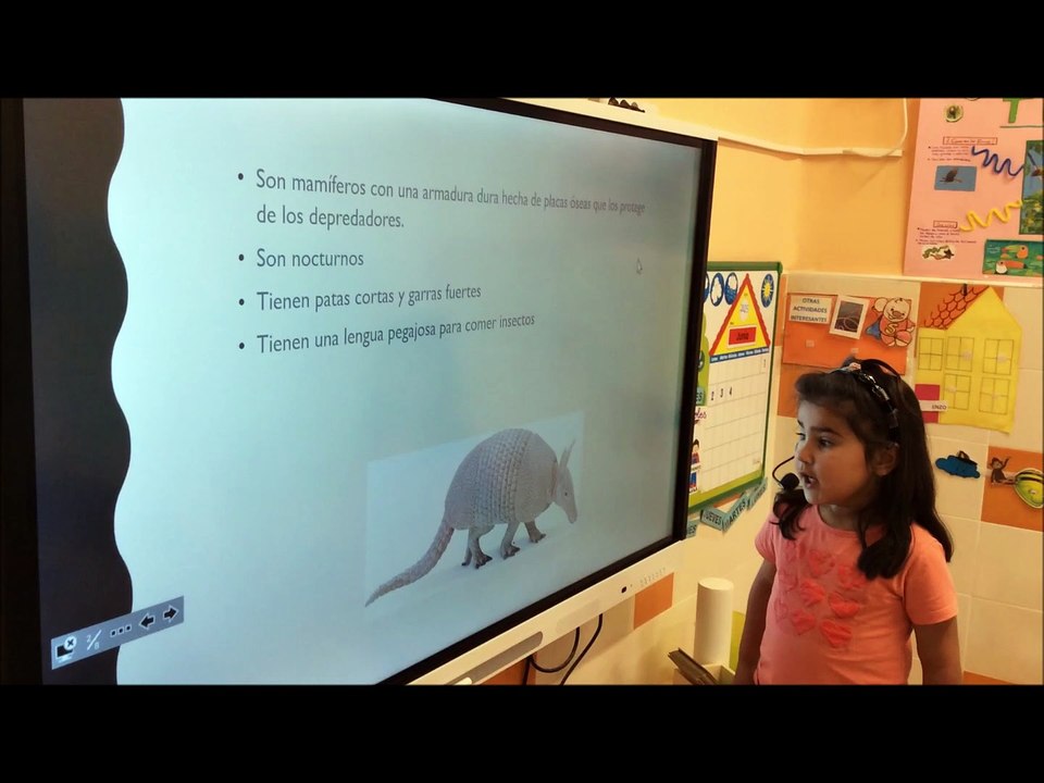 ARMADILLO -Eithne