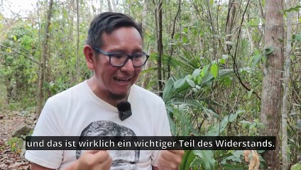 Der Widerstand gegen den Tren "Maya"