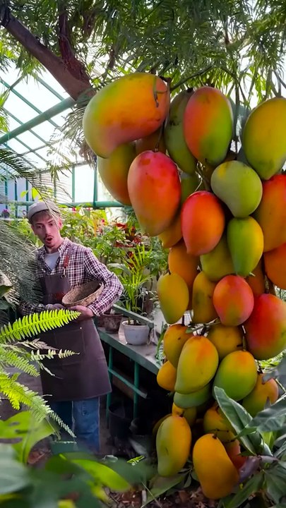 Turning a mango crop into a beautiful accessory 🥭😍