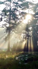 Ocean Waves at Sunset