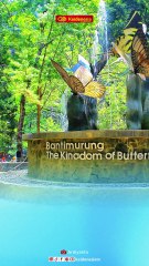 7 Fakta Penting Taman Nasional Bantimurung Bulusaraung