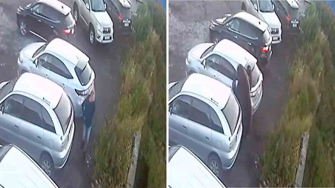 Video: Mann entkommt Bärenangriff auf Parkplatz in Russland