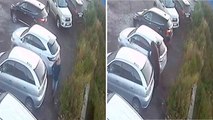 Video: Uomo scampa all’attacco di un orso in un parcheggio in Russia