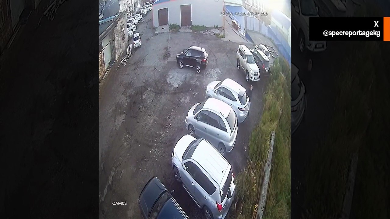 Video: Mies pakenee karhun hyökkäystä pysäköintialueella Venäjällä