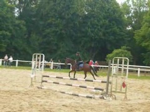 Concours du 18 mai 2008 fauvettes mél et natif