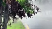 قران كريم المنشاوي
