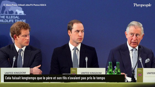 Prince Harry : le duc de Sussex écarté d’un retour royal à mi-temps malgré son échange avec le roi Charles III