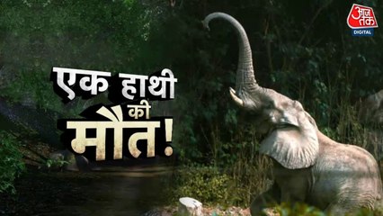 चिड़ियाघर में पार्टनर की जुदाई ने ली जान! कहानी हाथी 'शंकर' की मौत की
