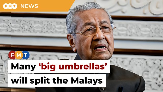 Many ‘big umbrellas’ will split the Malays, says Mahathir