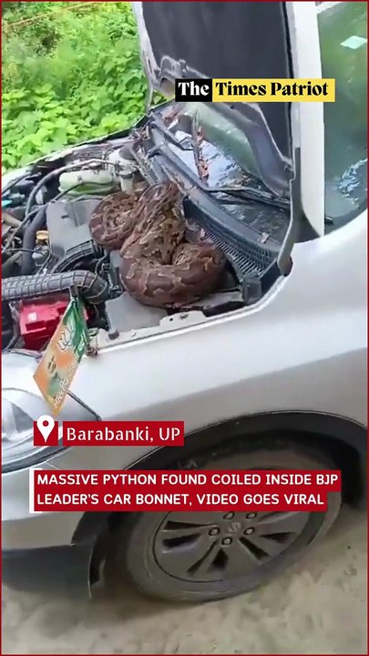 Barabanki Shock: Massive Python Found Coiled Inside BJP Leader’s Car Bonnet, Video Goes Viral