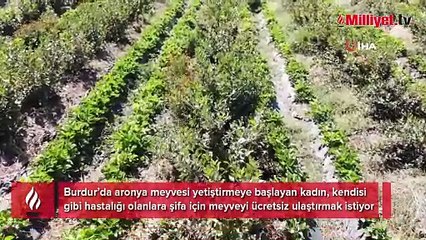 Televizyonda izledi, köyüne dönüp hemen dikti! 'Kilosu 300 lira'